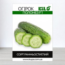 Насіння огірка Полонез F1, самозапильних, 100г